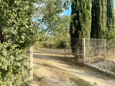 Баттерфляй - 39