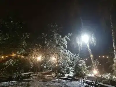 Русский Лес - 5