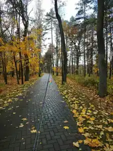 Березинская Дубрава - 25