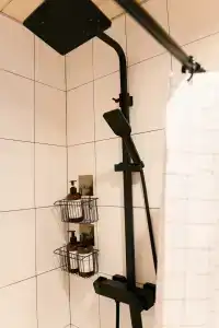 Место под соснами - 49