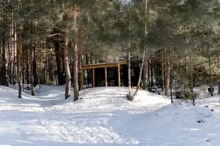 Место под соснами - 31