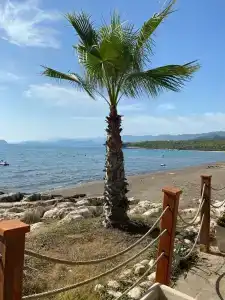 Andriake Beach Club - 54