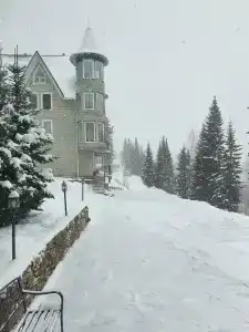 Замок Эдельвейс - 60