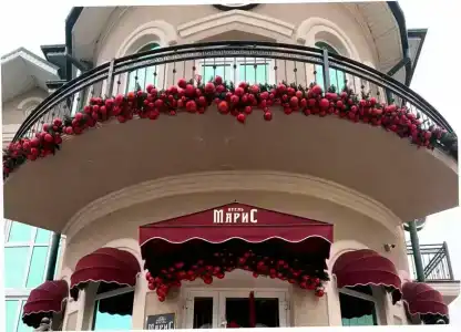 МариС - 0