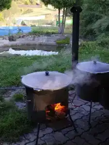 Усадьба - 37