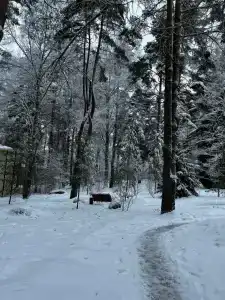Лосево - 11