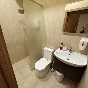 Апартикс - 1