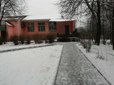 Кот - 11