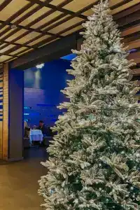 Шале Гринвуд - 63