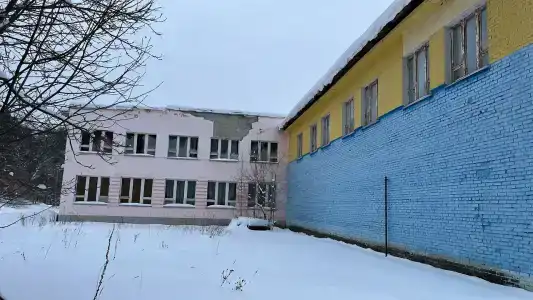 Тайга - 14
