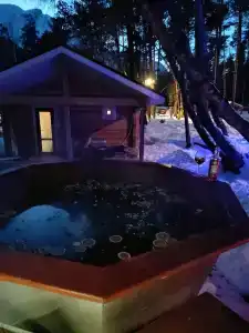 Подгорье - 1