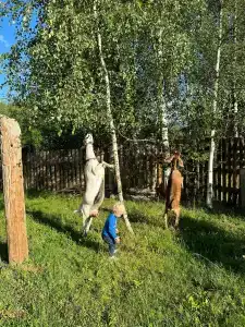 Велесов хутор - 28