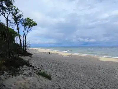 Гостевой дом Элиза Заркау - 66