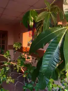 Лицейская - 16