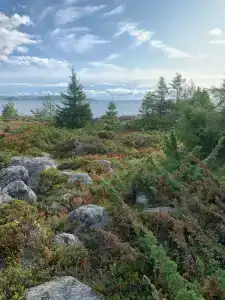 Кедр Грасс Белое Море - 29