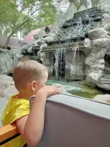 Золотая вилка - 34