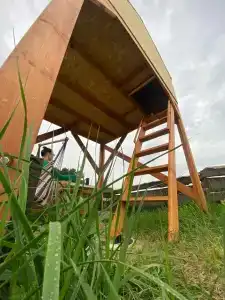 Смородина - 70