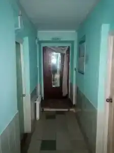 Багира - 17