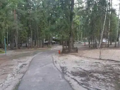 Сосновый бор - 14