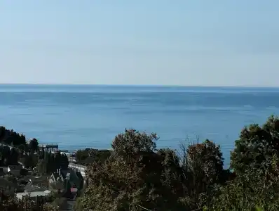 Эдем - 29