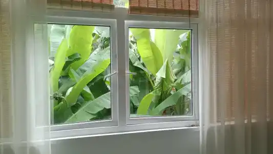 Валео - 38