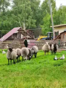 Якимиха - 41