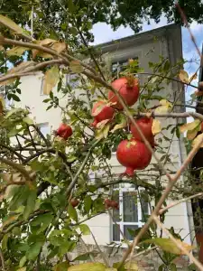 Черное море - 12