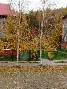 Анненские Воды - 20