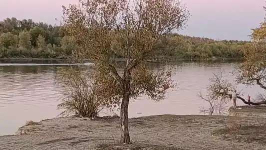 Поплавок - 5