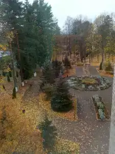Борок - 41