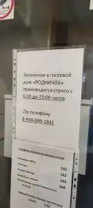 Родничок - 4