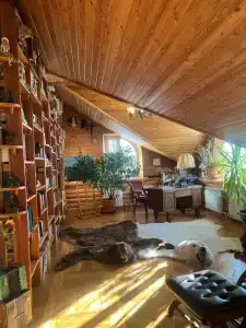 Amur Resort - 45