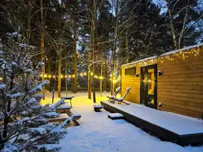 Лесной Привал - 12