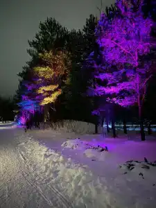 Лисья нора - 18