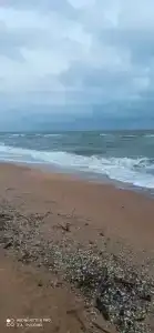 База отдыха у Петровича - 75