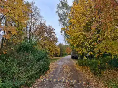 Банный Остров - 60