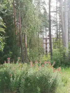 Белое солнце - 76