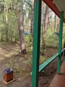 Яльчик - 33