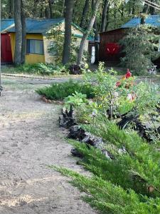 Восход - 40