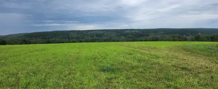 ЯсноПоле - 40