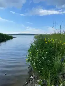 Мантиансаари - 74