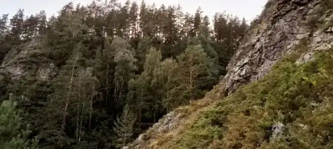 Кедровый бочонок - 6