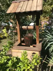 Золотая вилка - 69