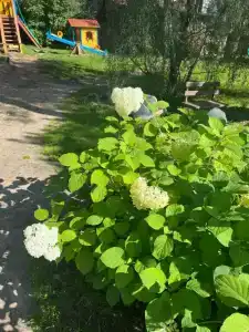 Шале Синегорье - 54