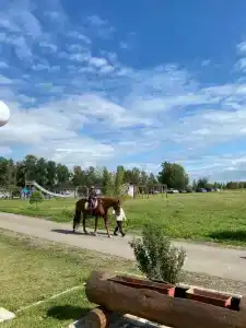 Бабушкина дача - 23