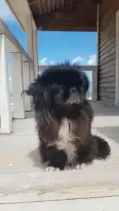 Жемчужина - 69