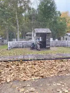 Лукоморье - 2