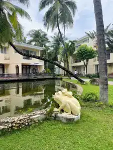 Palm Beach Resort & Spa - 49