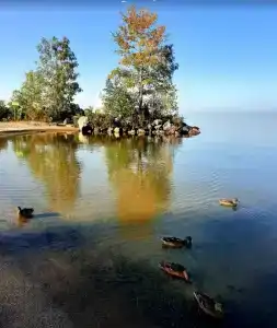 На камнях - 13