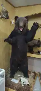 Байкальский государственный природный биосферный заповедник - 83